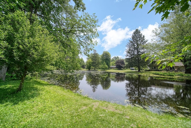 4787 Hooks Mill Rd, Adrian, MI 49221 - water view