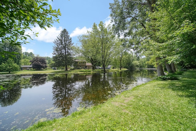 4787 Hooks Mill Rd, Adrian, MI 49221 - water view
