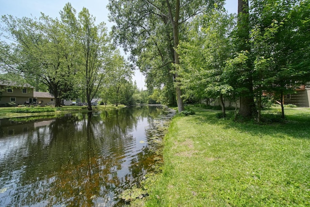 4787 Hooks Mill Rd, Adrian, MI 49221 - water view