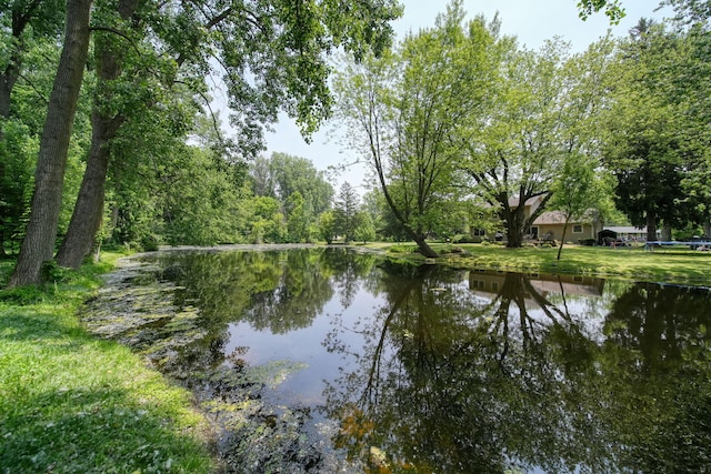 4787 Hooks Mill Rd, Adrian, MI 49221 - water view