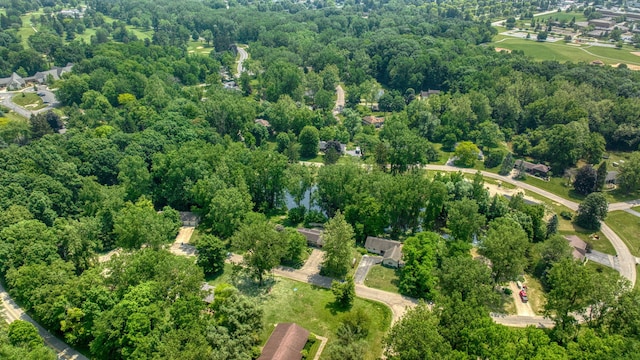 4787 Hooks Mill Rd, Adrian, MI 49221 - aerial overview of property's location with a heavily wooded area