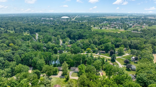 4787 Hooks Mill Rd, Adrian, MI 49221 - bird's eye view of a heavily wooded area
