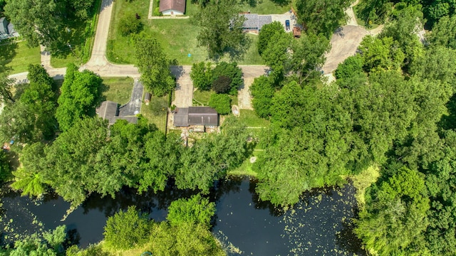 4787 Hooks Mill Rd, Adrian, MI 49221 - bird's eye view of a nearby body of water