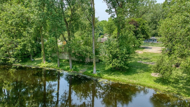 4787 Hooks Mill Rd, Adrian, MI 49221 - water view