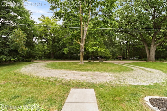 10129 Nimphie Rd, Fenton, MI 48430 - view of green lawn