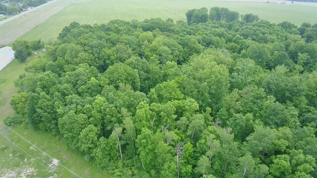 8386 E Sidney Rd, Crystal, MI 48818