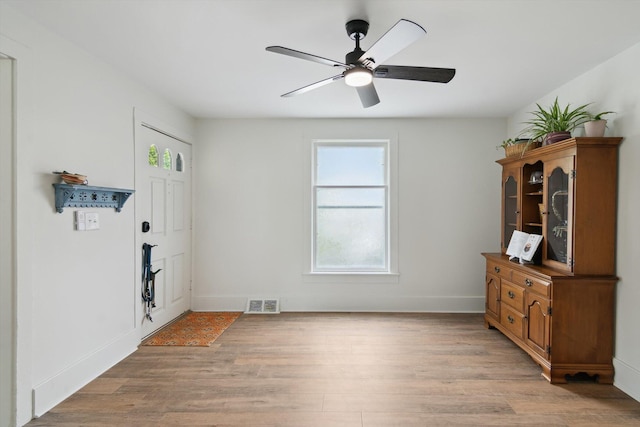 217 S Marshall Ave, Marshall, MI 49068 - entryway featuring a ceiling fan and light wood-style floors