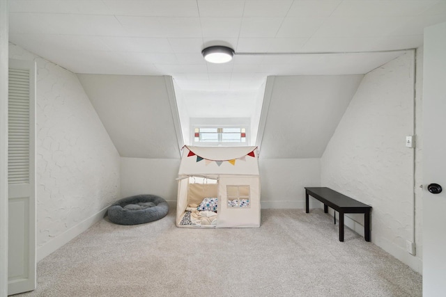 217 S Marshall Ave, Marshall, MI 49068 - additional living space featuring carpet floors