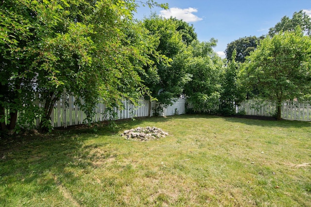 217 S Marshall Ave, Marshall, MI 49068 - view of fenced backyard