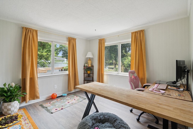 217 S Marshall Ave, Marshall, MI 49068 - office space featuring healthy amount of natural light, ornamental molding, and wood finished floors