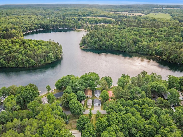 8870 W School Section Lake Dr, Mecosta, MI 49332 - aerial view of a large body of water