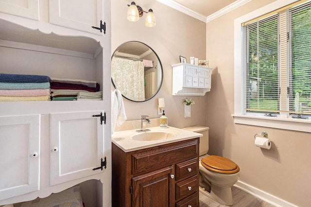 8870 W School Section Lake Dr, Mecosta, MI 49332 - bathroom featuring vanity, crown molding, and wood finished floors