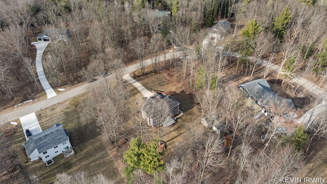 19223 Fox Glove Cir, Big Rapids, MI 49307 - bird's eye view