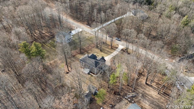 19223 Fox Glove Cir, Big Rapids, MI 49307 - bird's eye view