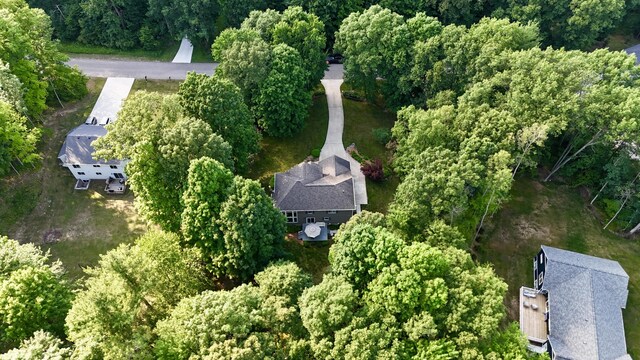 19223 Fox Glove Cir, Big Rapids, MI 49307 - photo 44