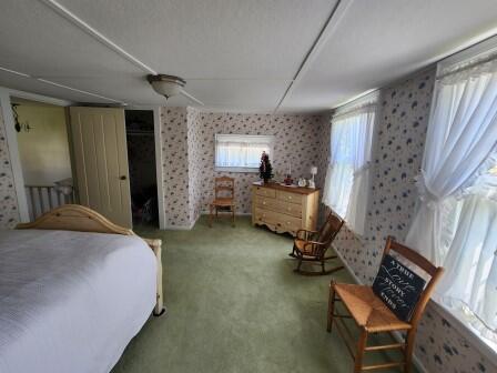 44 N Main St, Quincy, MI 49082 - bedroom featuring wallpapered walls and carpet flooring