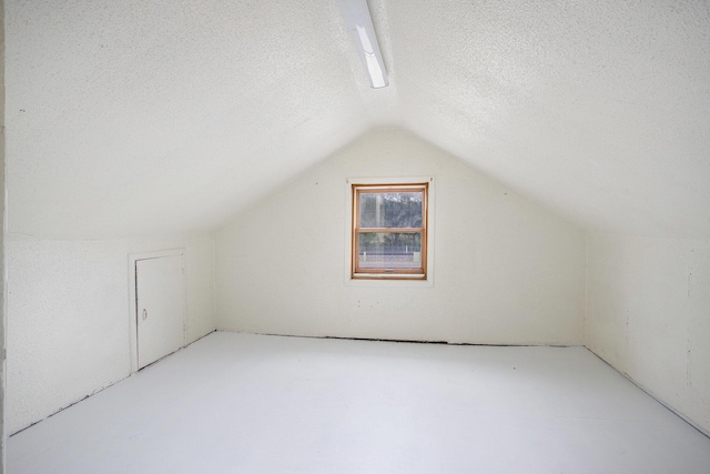 8464 E Michigan Ave, Galesburg, MI 49053 - bonus room featuring vaulted ceiling and a textured ceiling