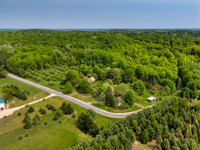 TBD Honey Hollow, Bellaire, MI 49615