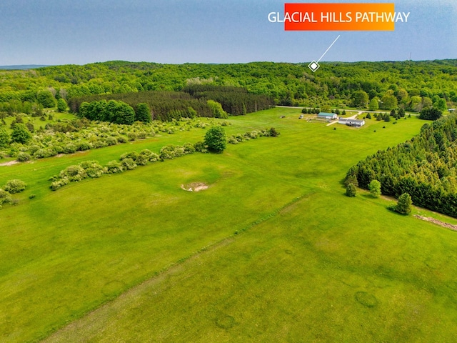 TBD Honey Hollow, Bellaire, MI 49615