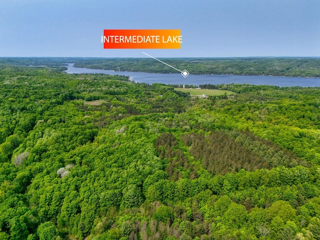 TBD Honey Hollow, Bellaire, MI 49615