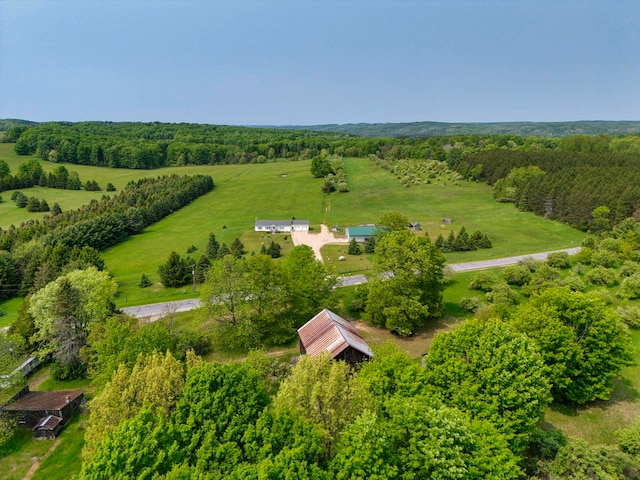 TBD Honey Hollow, Bellaire, MI 49615