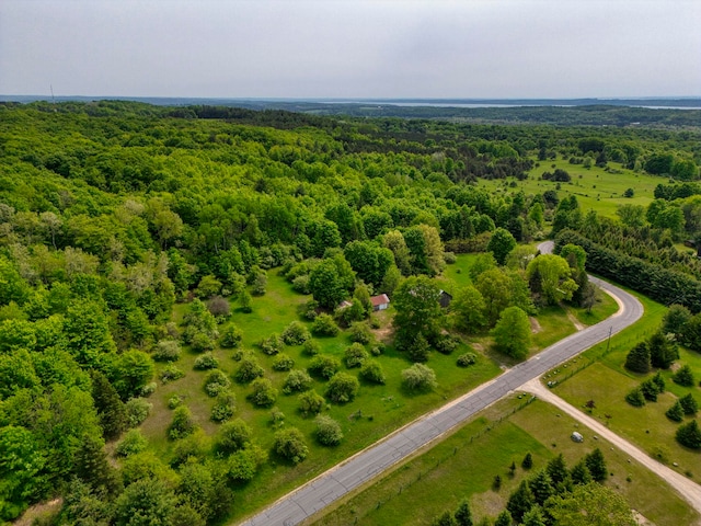 TBD Honey Hollow, Bellaire, MI 49615