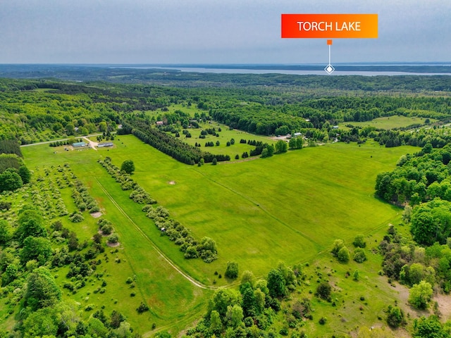 TBD Honey Hollow, Bellaire, MI 49615