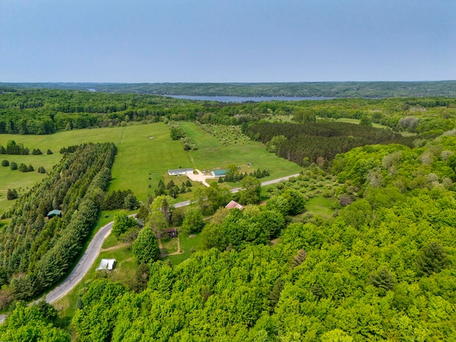 TBD Honey Hollow, Bellaire, MI 49615