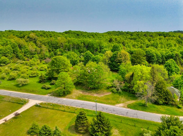 TBD Honey Hollow, Bellaire, MI 49615