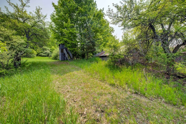 TBD Honey Hollow, Bellaire, MI 49615