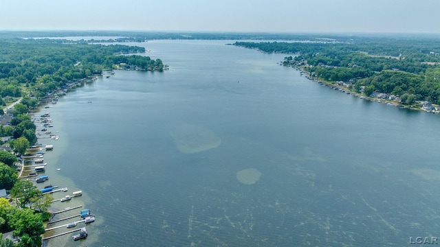 5027 Belemere Ct, Manitou Beach, MI 49253 - bird's eye view of a nearby body of water