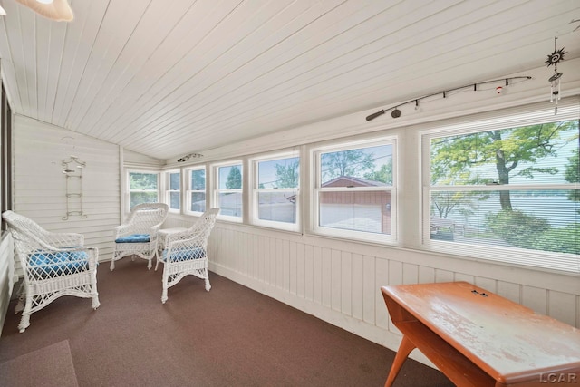 5027 Belemere Ct, Manitou Beach, MI 49253 - sunroom with vaulted ceiling