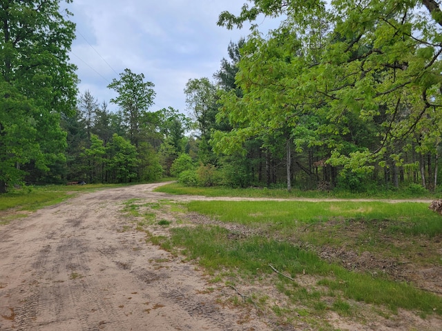 4540 Chalker Rd, Wellston, MI 49689 - view of dirt / gravel road featuring a wooded view