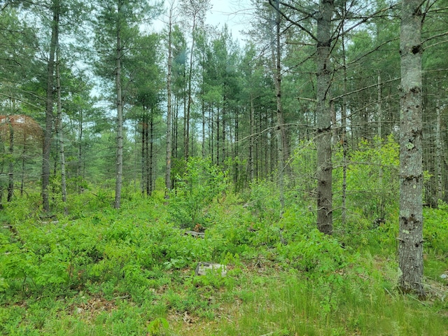 4540 Chalker Rd, Wellston, MI 49689 - view of woods