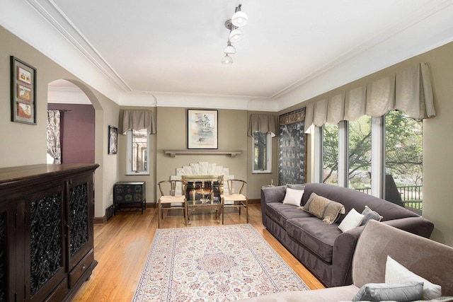 1506 Shadford Rd, Ann Arbor, MI 48104 - living area featuring arched walkways, light wood-type flooring, crown molding, and a glass covered fireplace