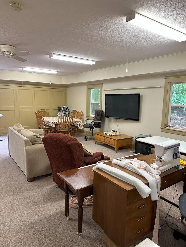 495 SW Prairie Ln, Kalkaska, MI 49646