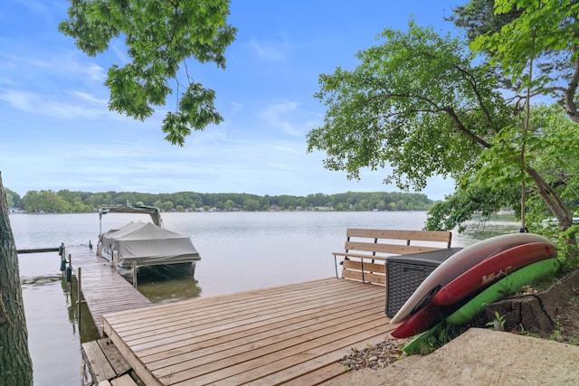 3184 N Lakeshore Dr, Hillsdale, MI 49242 - dock area featuring a water view and boat lift