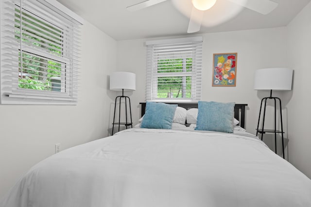 3184 N Lakeshore Dr, Hillsdale, MI 49242 - bedroom featuring ceiling fan