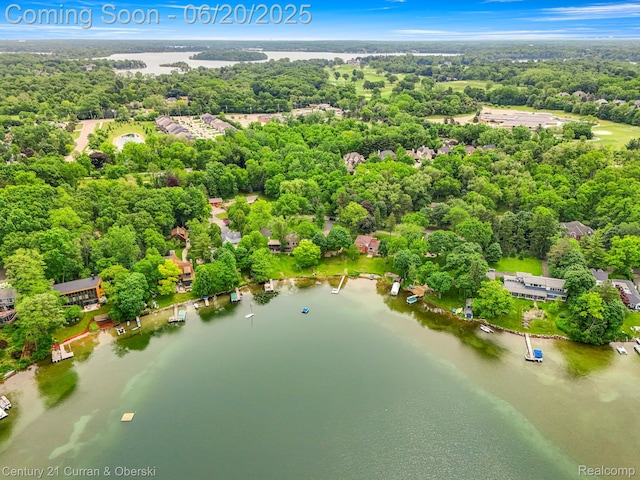 3150 Wellington Ct, West Bloomfield, MI 48324 - bird's eye view of a nearby body of water
