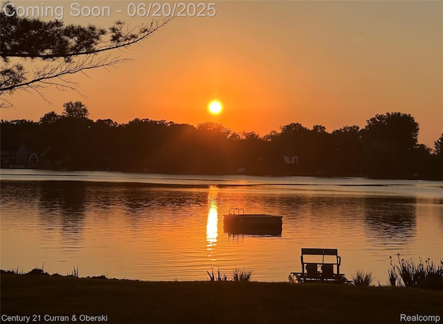 3150 Wellington Ct, West Bloomfield, MI 48324 - water view