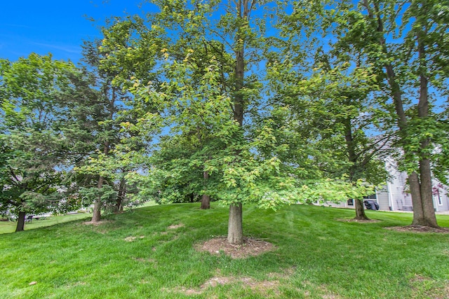 749 W Barrington Cir, Jackson, MI 49203 - view of grassy yard