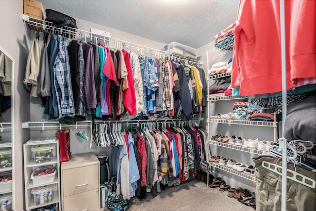 964 Everett Pkwy, South Haven, MI 49090 - spacious closet with carpet floors
