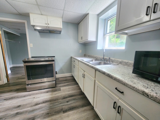 254 Holly St SW, Grand Rapids, MI 49548 - kitchen featuring stainless steel electric range oven, under cabinet range hood, black microwave, light countertops, and a paneled ceiling