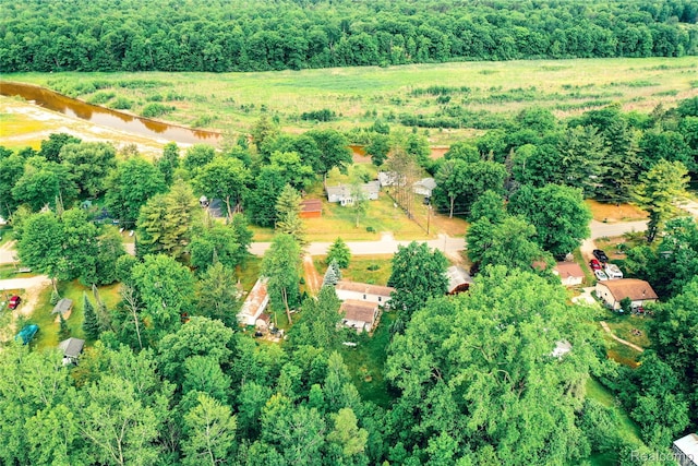 2951 S Whitney Beach Rd, Beaverton, MI 48612 - photo 4