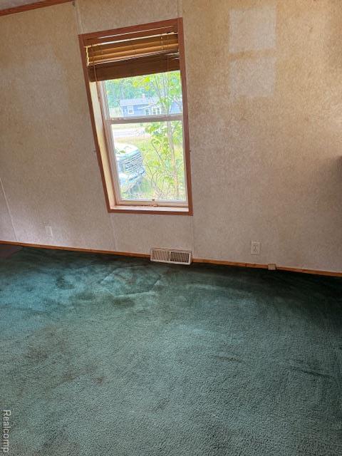 2951 S Whitney Beach Rd, Beaverton, MI 48612 - photo 14