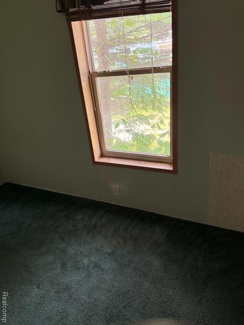 2951 S Whitney Beach Rd, Beaverton, MI 48612 - photo 17