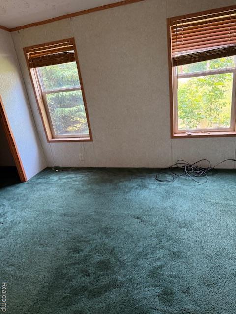 2951 S Whitney Beach Rd, Beaverton, MI 48612 - photo 24