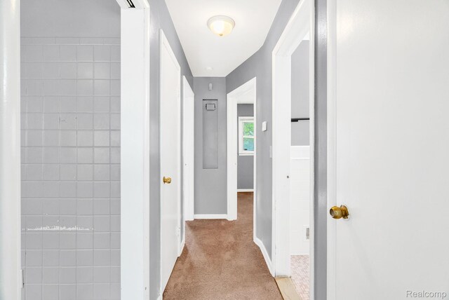 19161 Joann St, Grosse Pointe, MI 48205 - photo 16