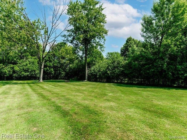 871 Vanderpool Dr, Troy, MI 48083 - view of green lawn