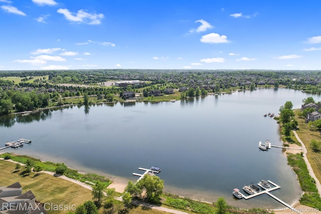 24825 Reeds Pointe Dr, Novi, MI 48374 - drone / aerial view of a nearby body of water